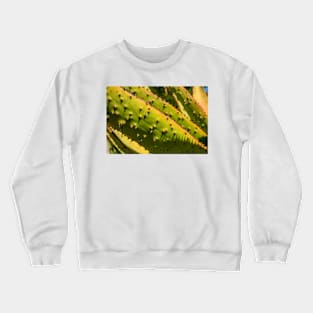 Short but Sharp Crewneck Sweatshirt